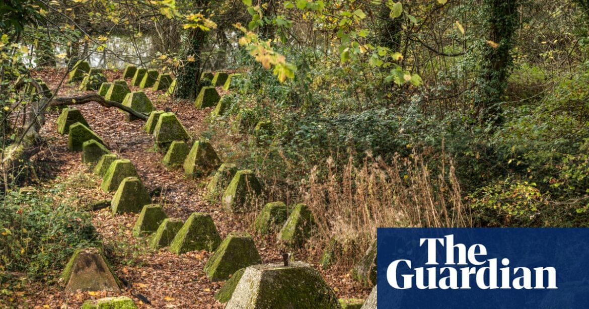 Dragon’s teeth and elf garden among 2025 additions to English heritage list | Heritage Dragon’s teeth and elf garden among 2025 additions to English heritage list | Heritage