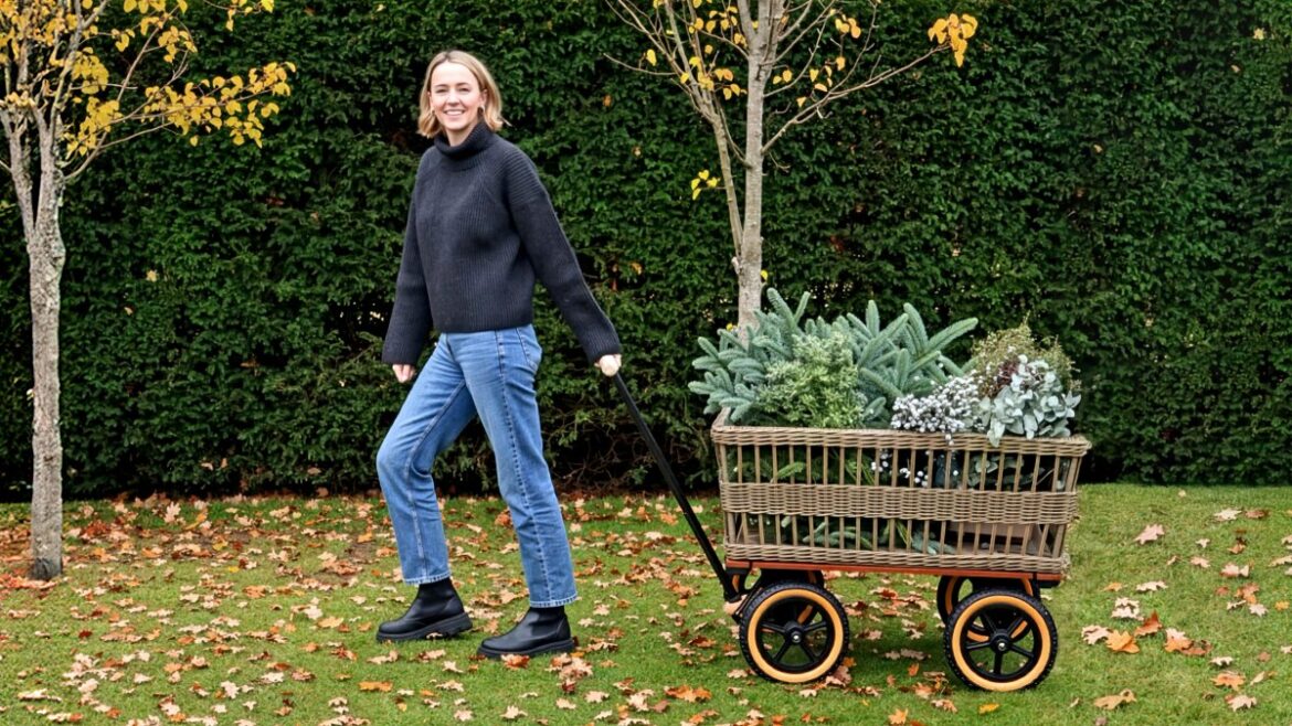 The seven gardening jobs to do over the festive season The seven gardening jobs to do over the festive season