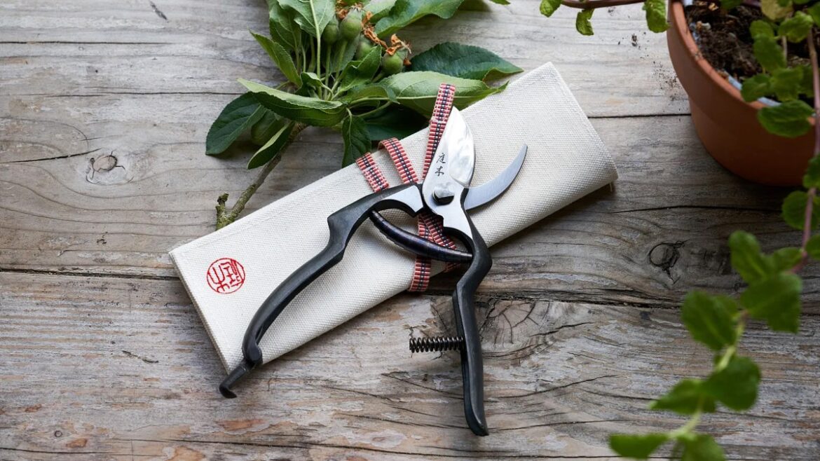 The best gardening gifts for Christmas 2025