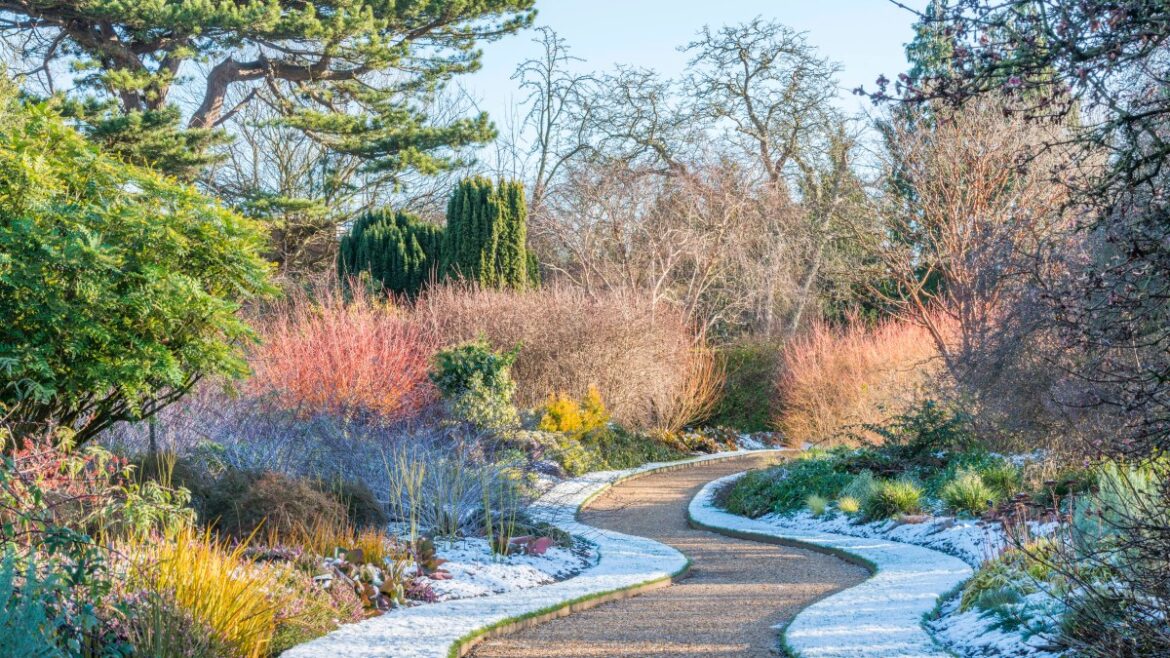 My top 21 winter gardens to visit