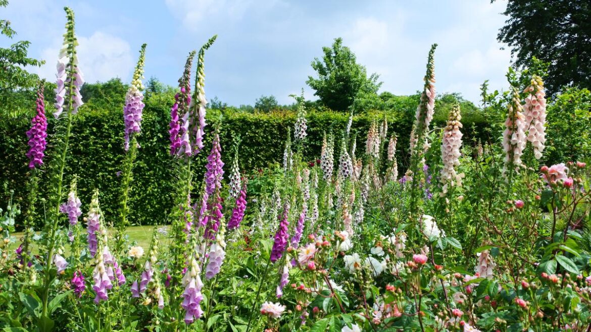 The top gardening trends for 2026 The top gardening trends for 2026