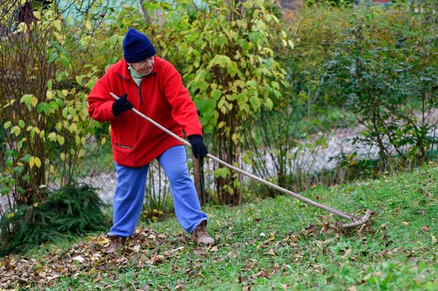 A woman gardening