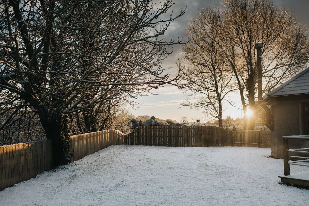 Garden with ice