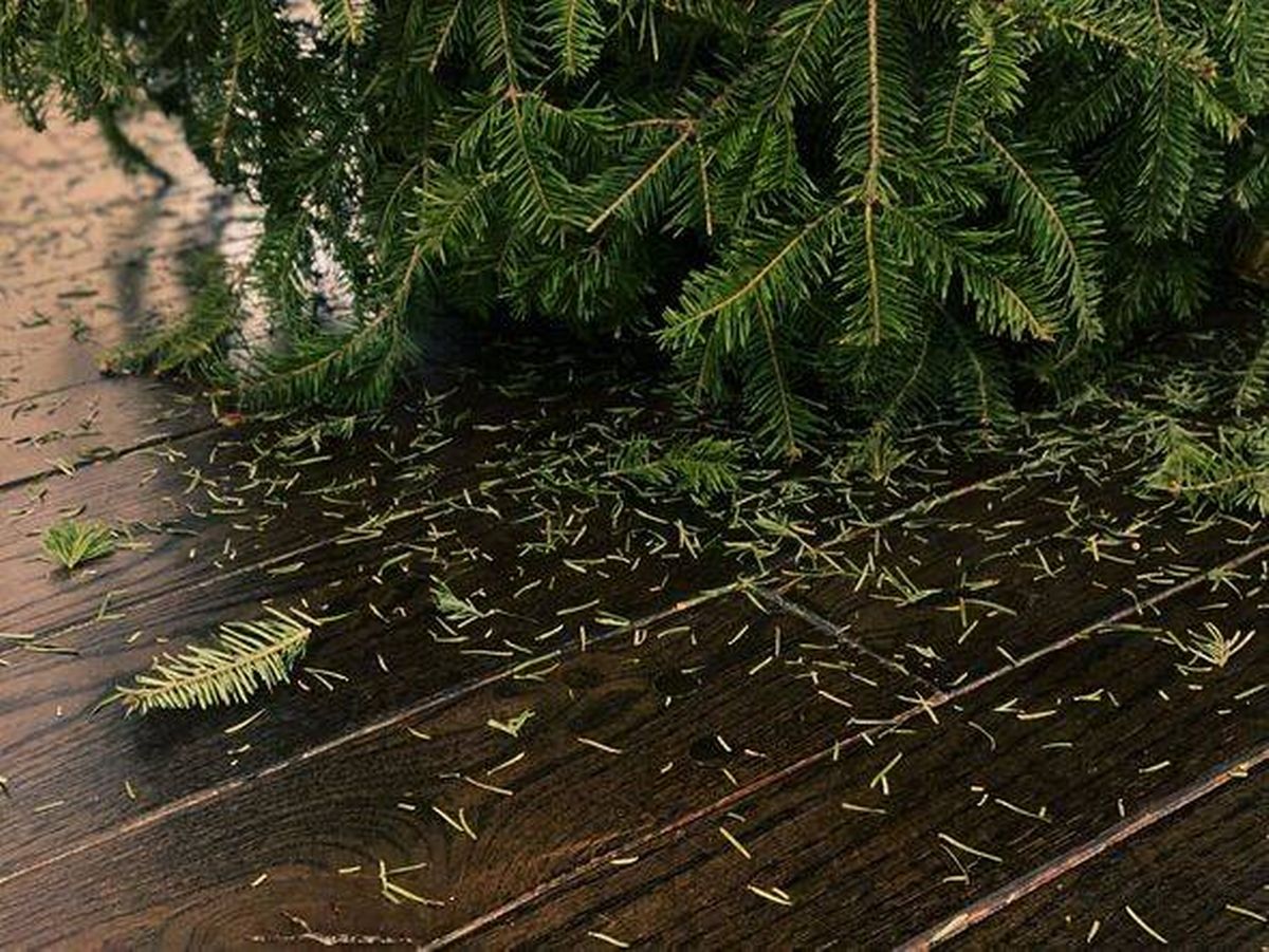 holiday blues: cleaning up at the end of holiday season