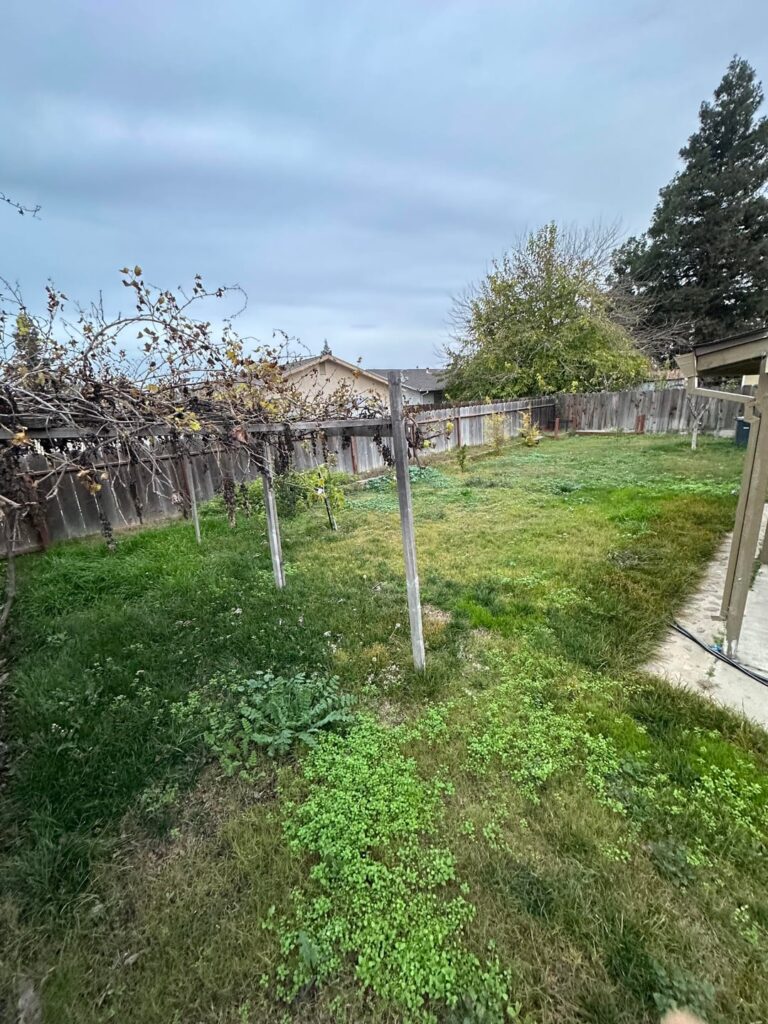 Is there hope for this lawn? Northern California, US.