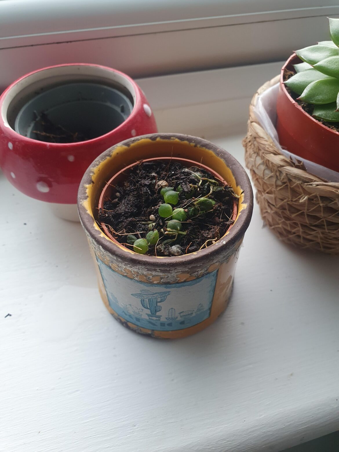 New string of pearls New string of pearls