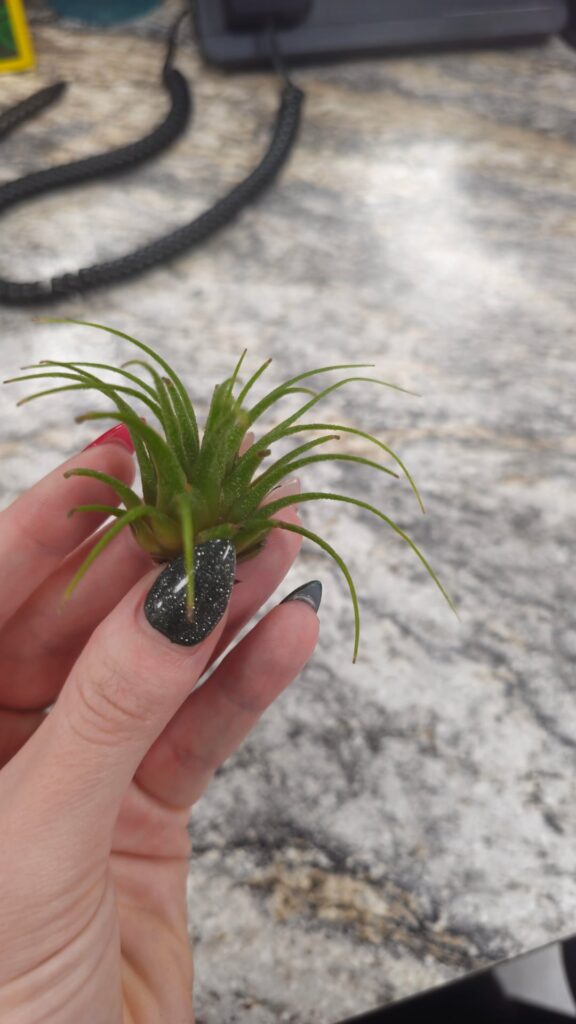 Does she look healthy?