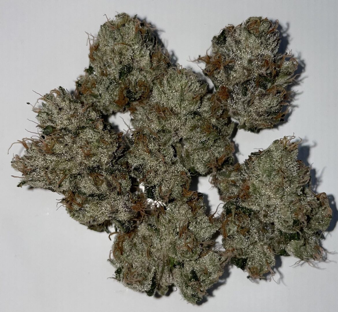 Bolo Runtz grown with love in the Albany NY Region