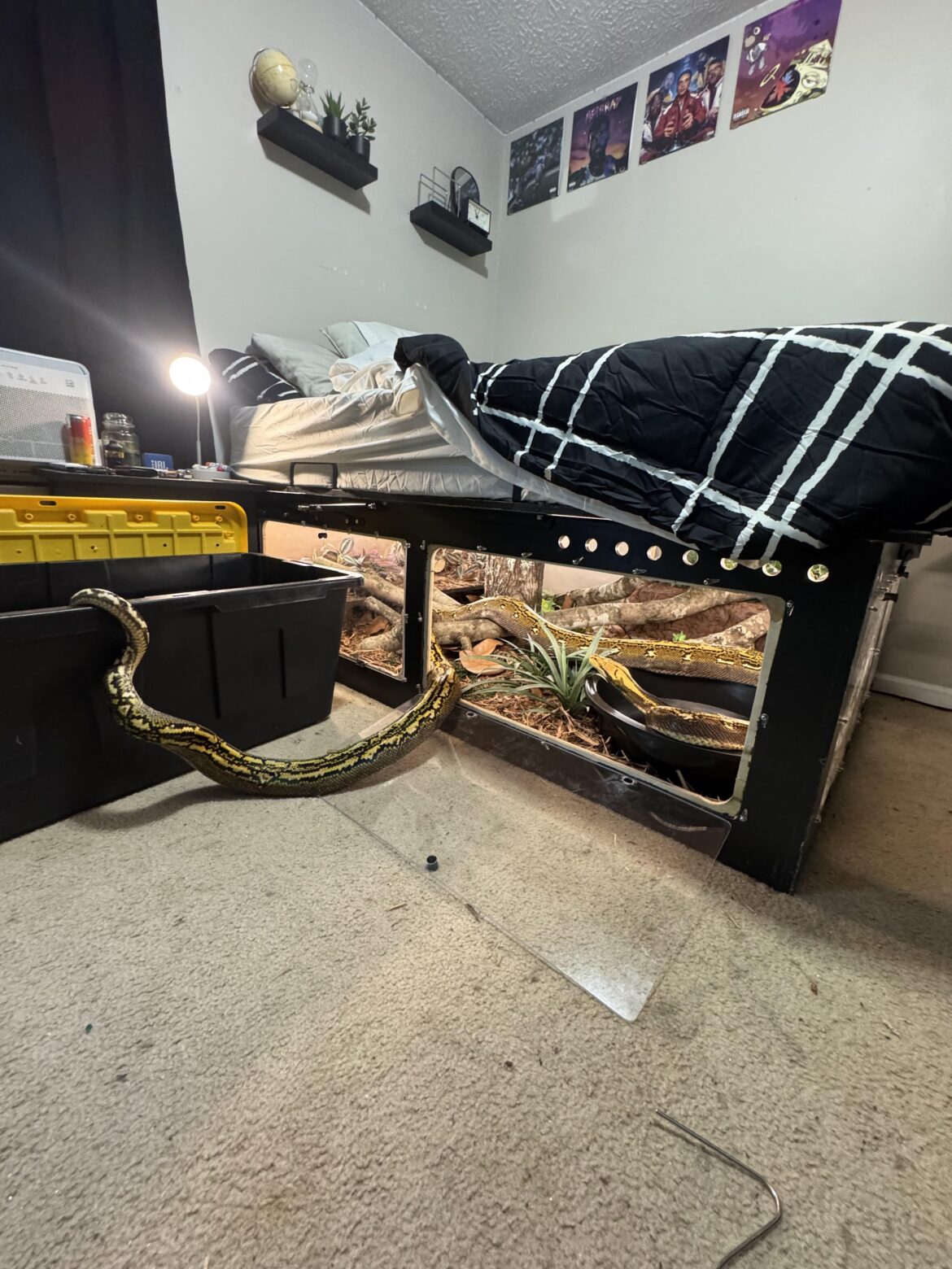 Custom bed enclosure