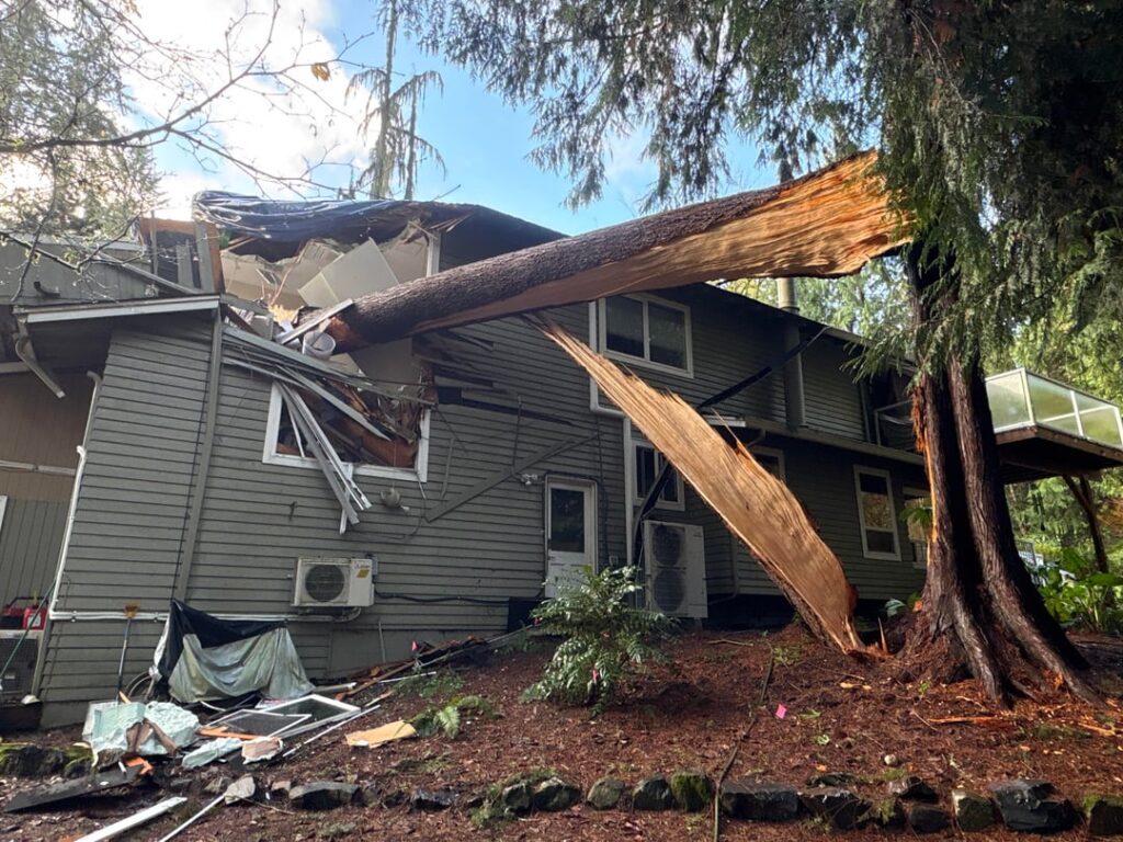 Bring in the Crane!!