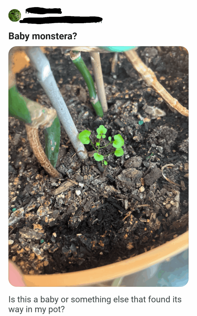 She's a mother 😍😍😍