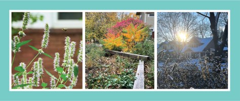 Minnesota’s short growing season means that winter interest is essential.