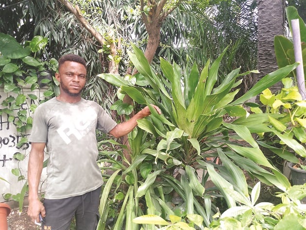 How Plant Enthusiasts Energise Nigeria’s Floral Industry 3