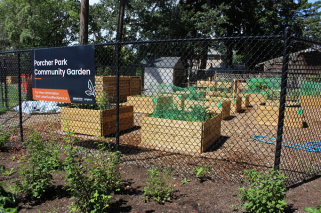 Porcher Park Community Garden, langford