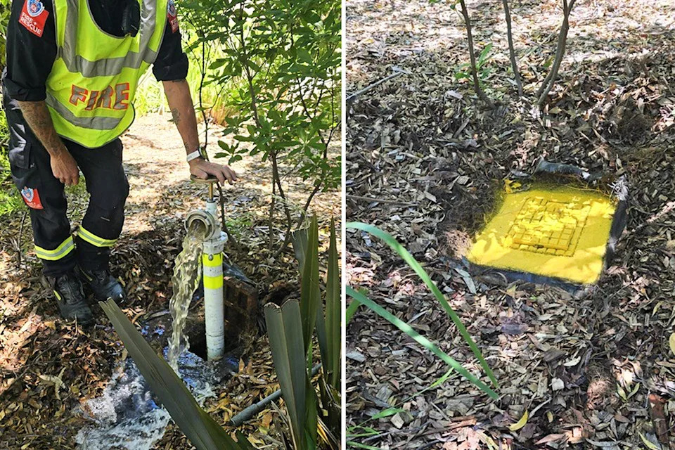 Left, the hydrant flowing water after being unearthed. Right, the bright yellow top of the hydrant now clear of debris.