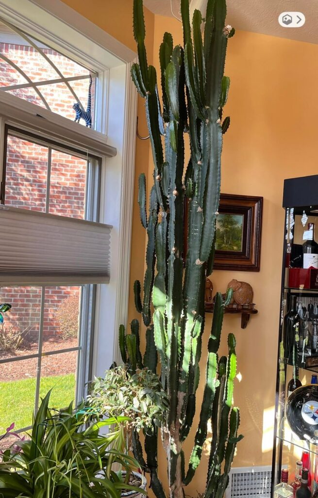 Just a few of some of my favorites