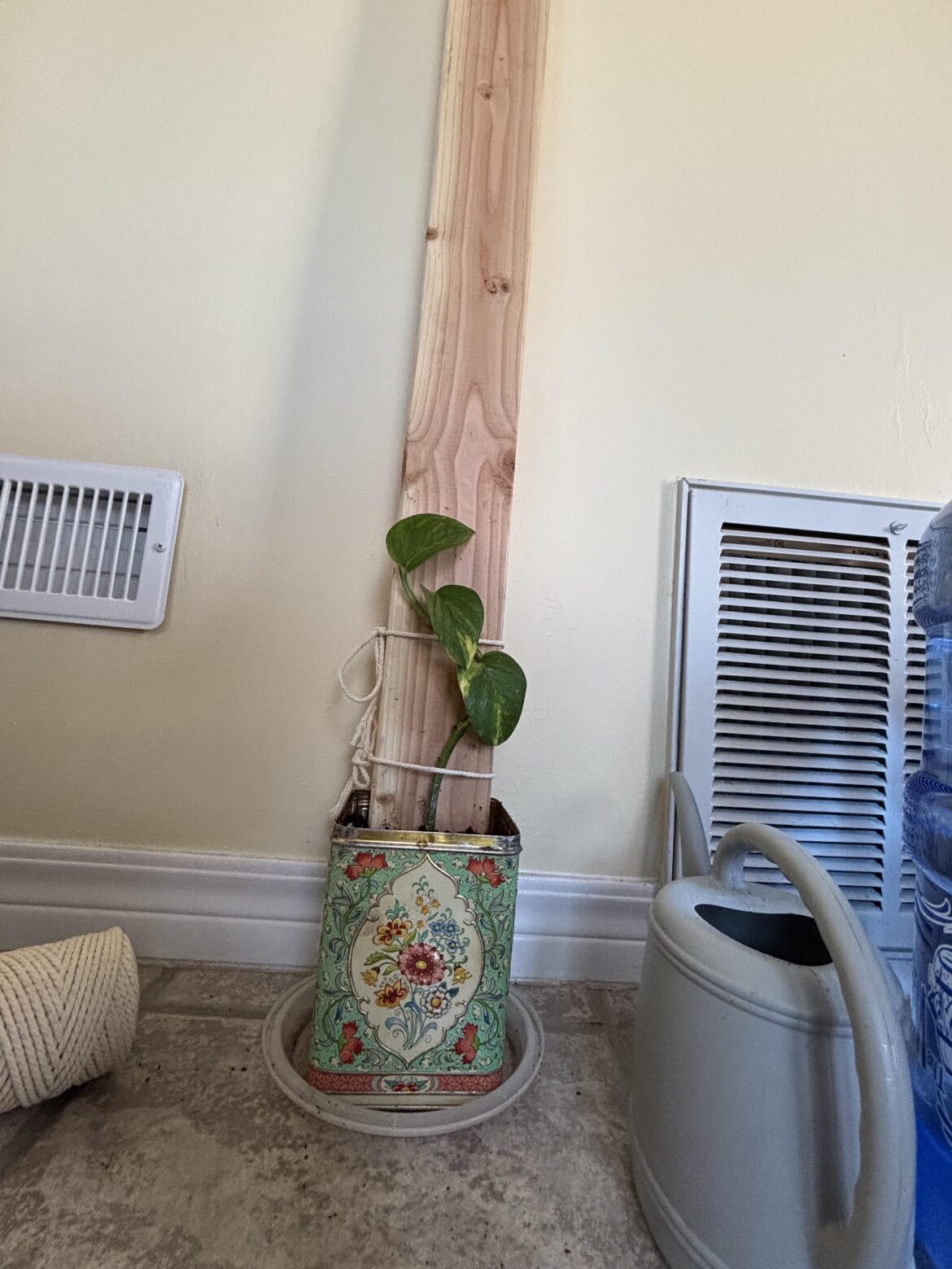 Did I do this right?… Did I do this right?…