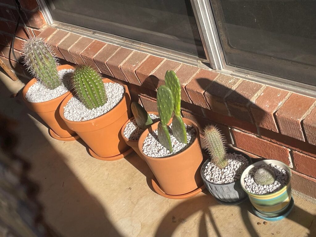 Am i good to leave these outside? Am i good to leave these outside?