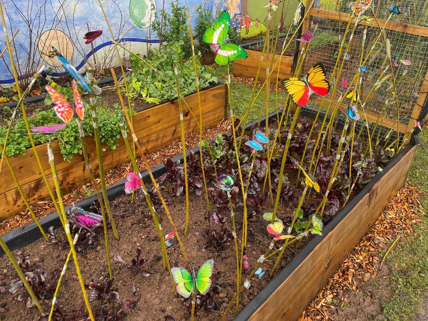 Each butterfly represents a women who has lost her life to femicide in Ireland since 1996.