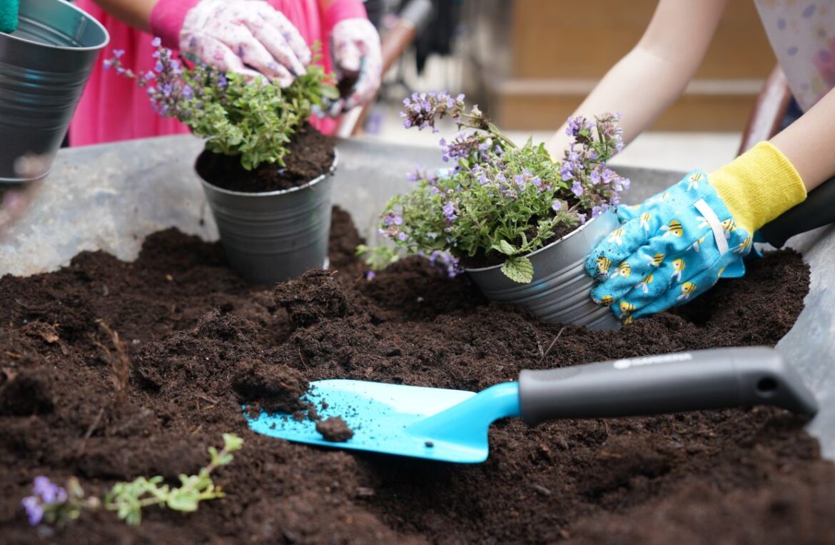 Make your gardening New Year's resolution a sustainable one