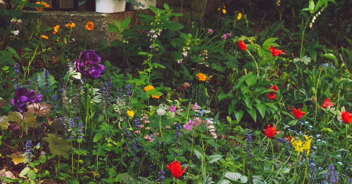 Why it’s really about balance, and the choice is yours