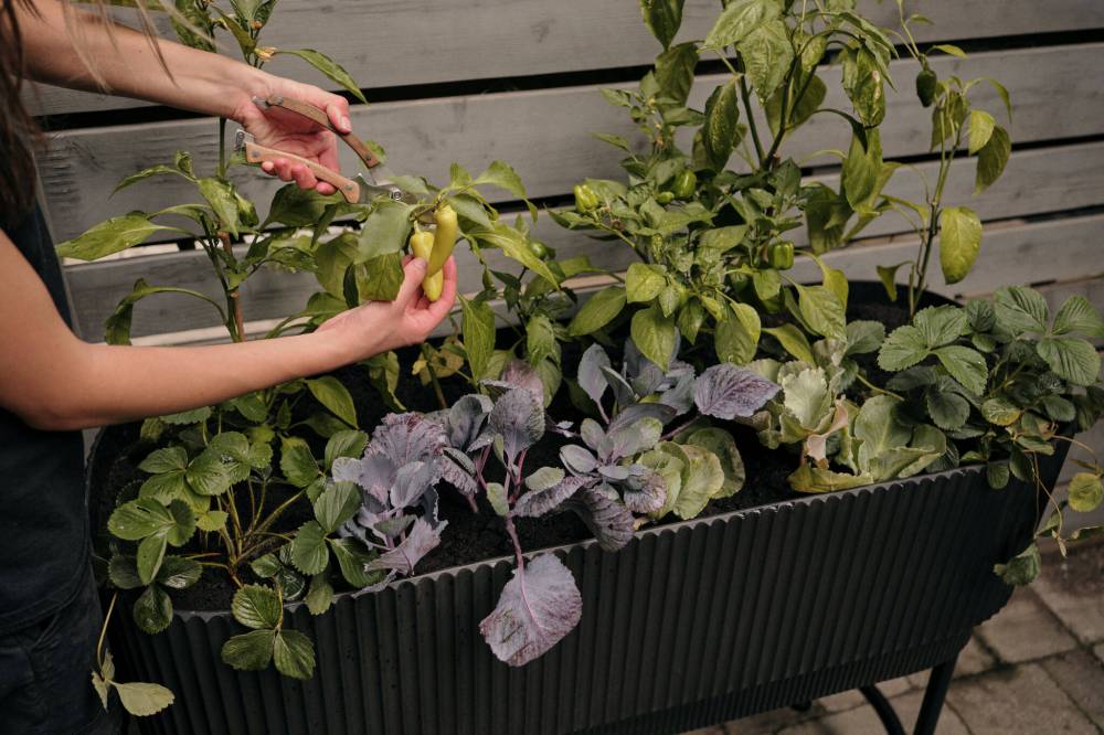 Veradek
Veradek’s new Demi Raised Garden Bed is a great gift for the gardener in your life, and a perfect addition for patios, balconies and porches.