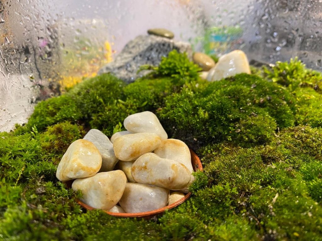 i have no idea what im doing