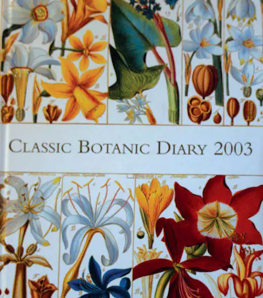 Green Gifts for Gardeners – Columbia Star Garden Diary