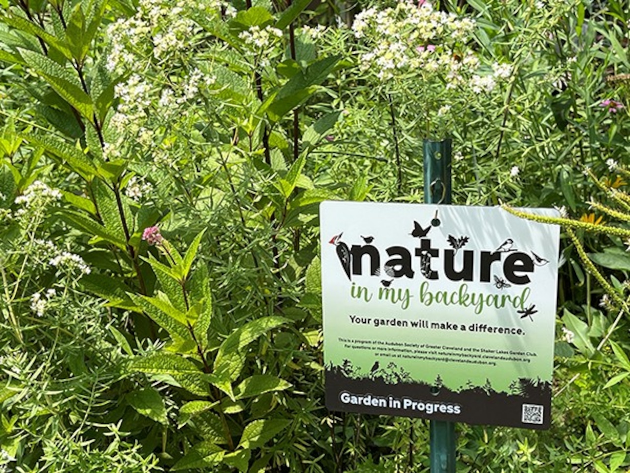 How to get a sign to tell the story of your native garden in Northeast Ohio