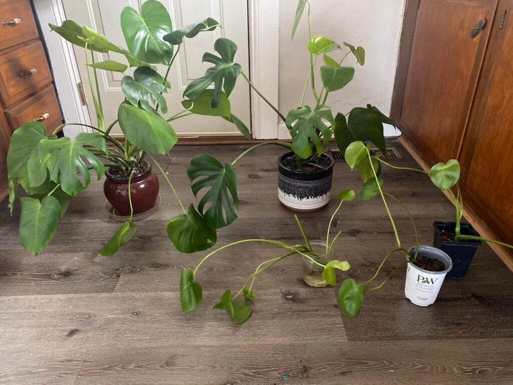 The gift that keeps on giving