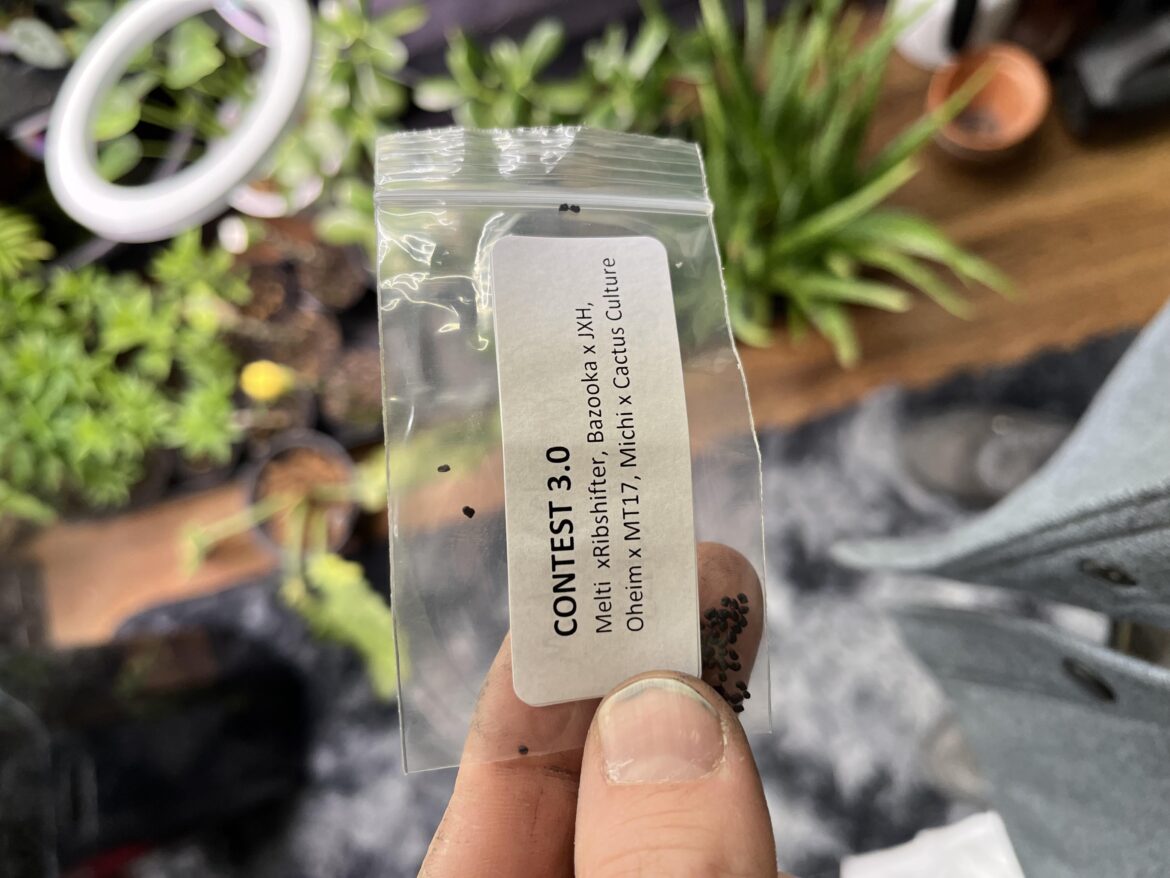 Got my seeds in for the RMF seed growing contest.