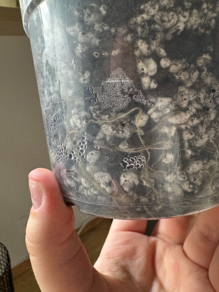 How do I stop this from happening?