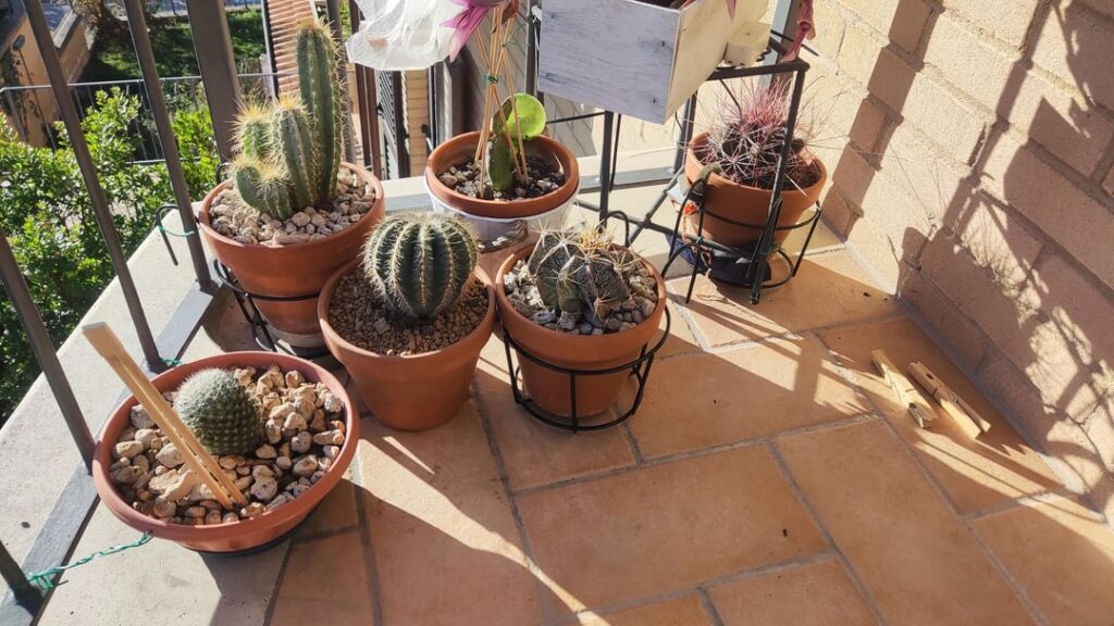 Soaking up some winter sun