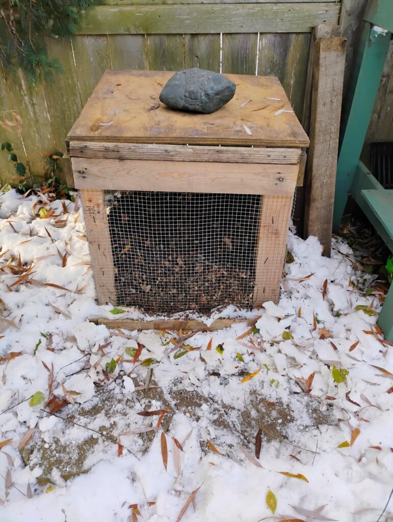 Beginner Compost Bin