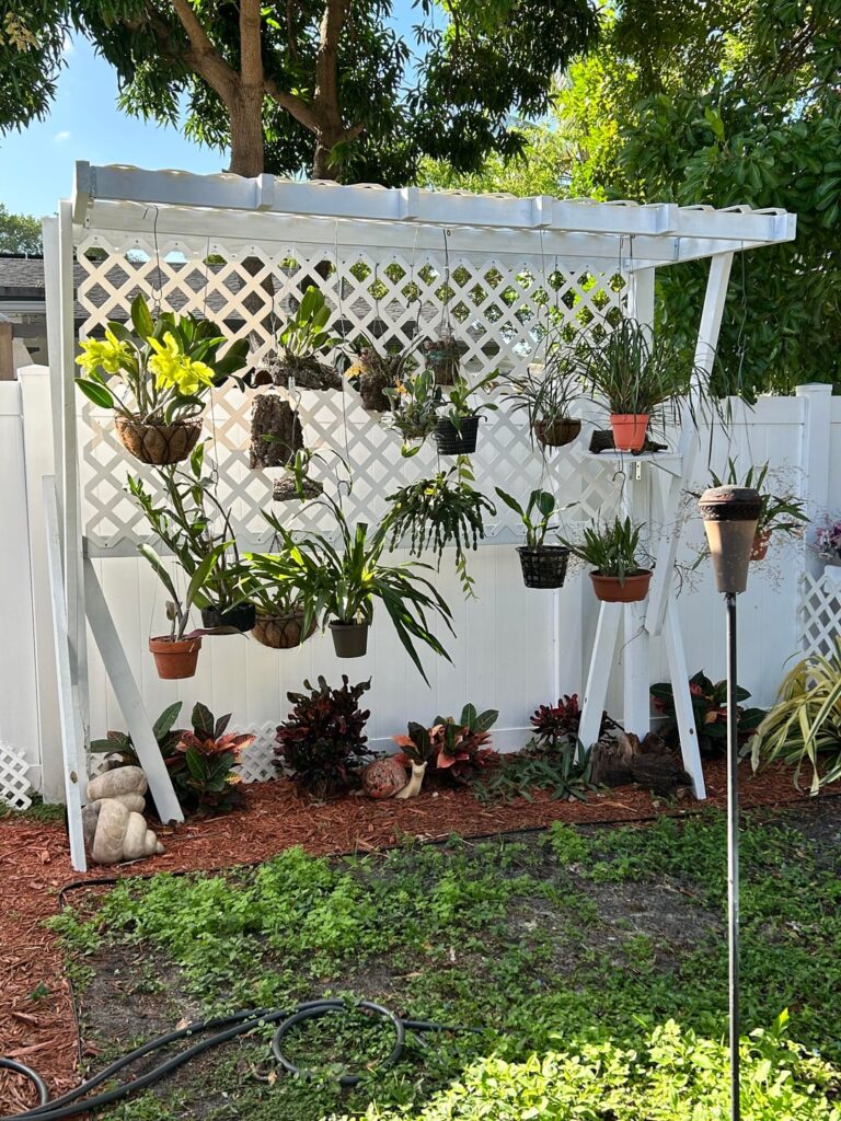 My current collection…mostly