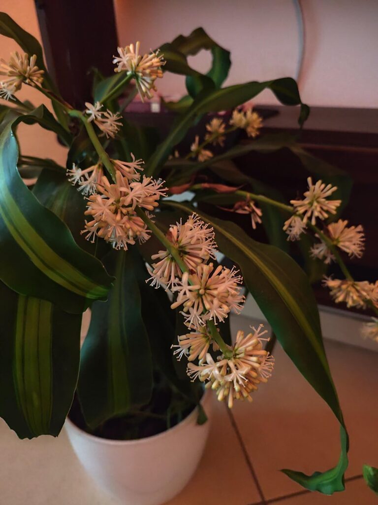 My unusual event 😍