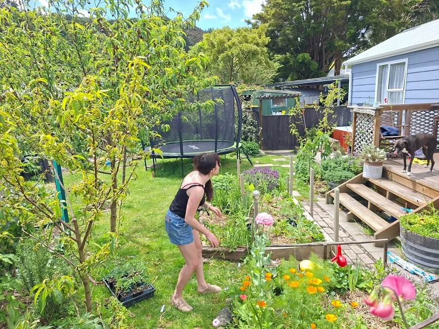 Upgrading your yard from drab monoculture grass to a native lawn is an eco-friendly and aesthetically amazing move.