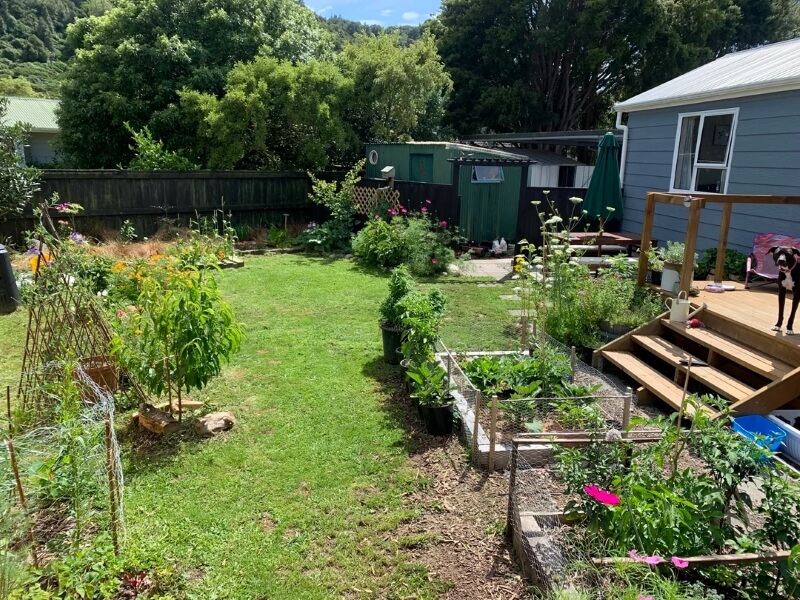 In a generous act of conservation, the Harman family donated 25 acres to the Land Trust of North Alabama.