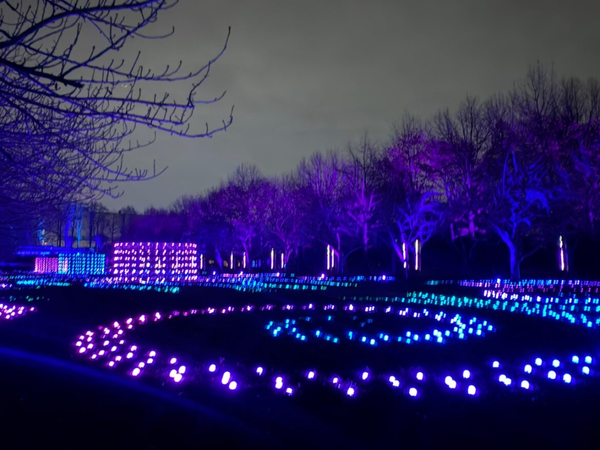 Brooklyn Botanic Garden’s mile-long ‘Lightscape’ will light you up this holiday season (PHOTOS) Mostly Sunny