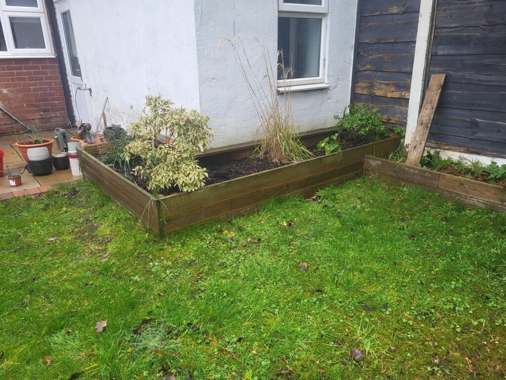 Pests and raised beds Pests and raised beds