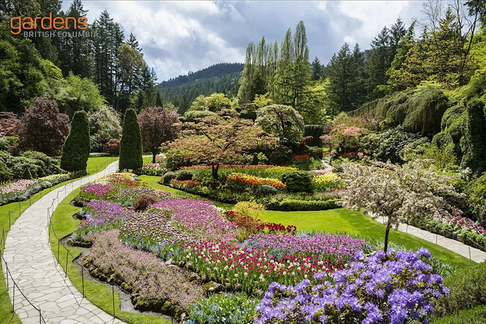 Visit GardensBC.com to discover amazing public gardens in your area that you can explore with your loved ones, or gift them tickets to.