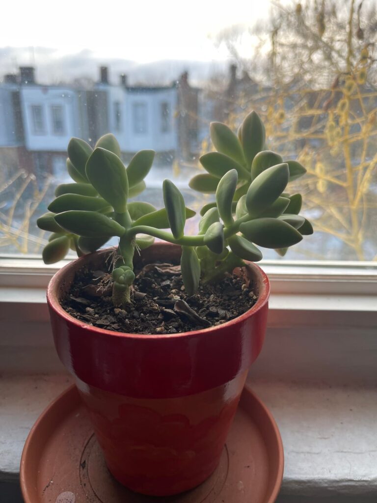 Where do I go from here? Help!