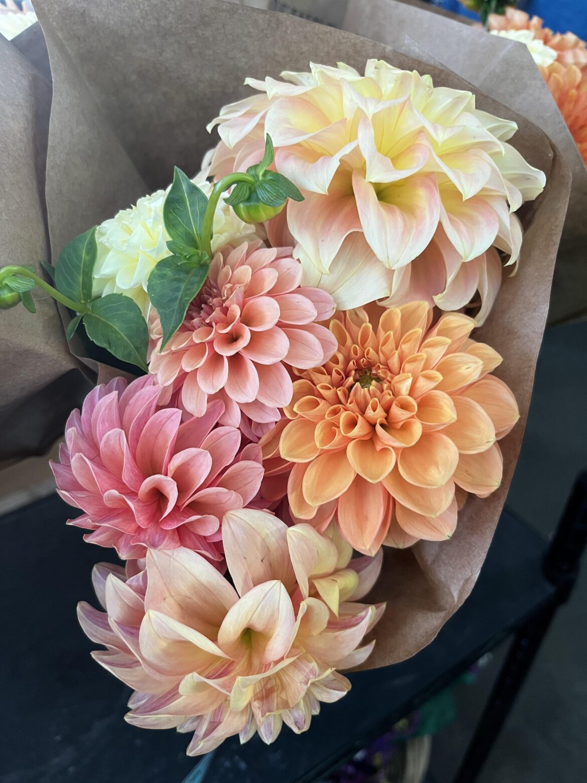 Still thinking about these gorgeous dahlias I saw a few weeks ago.