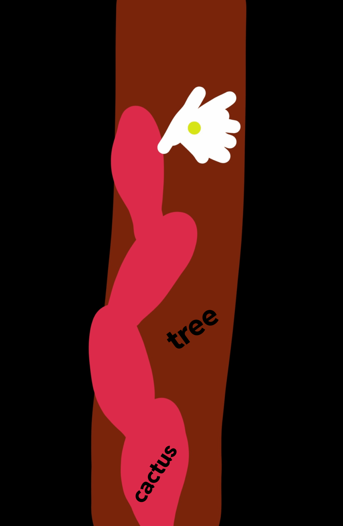 My precious baby flowered!!!