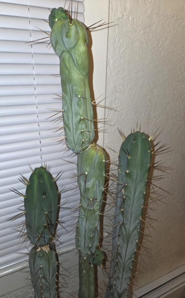 What's going on here?