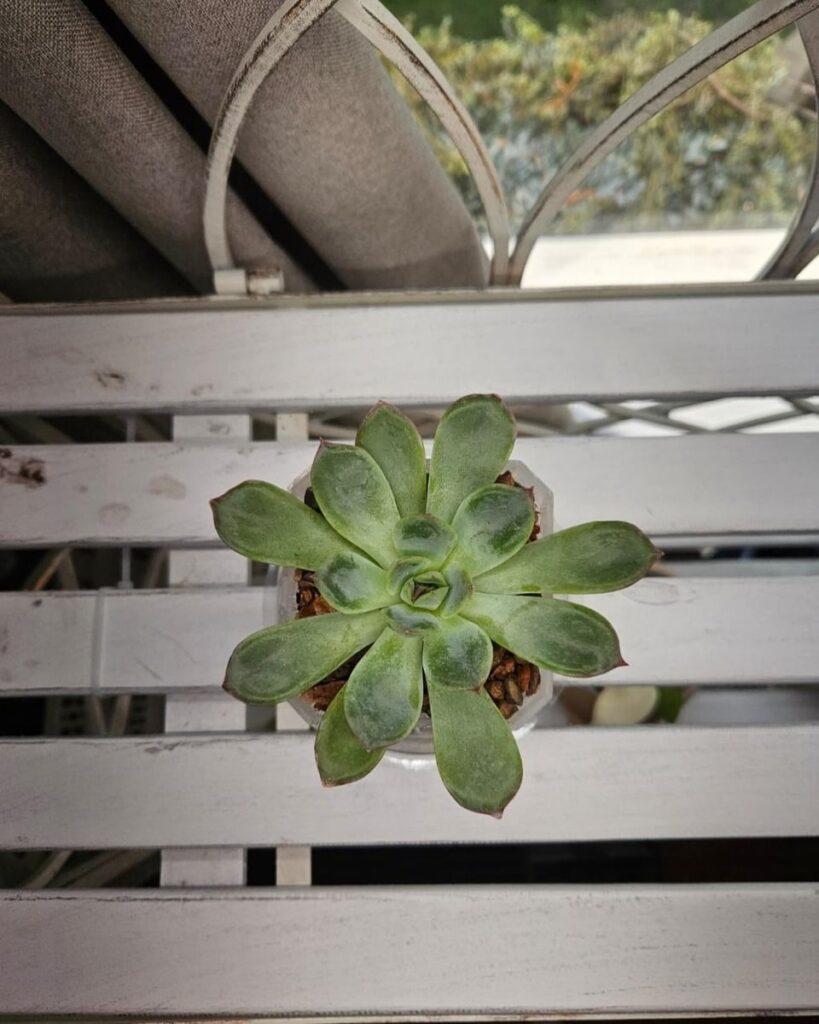 Before and after 6 months