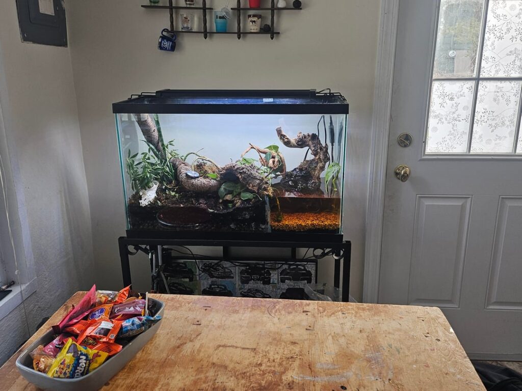 Stocking ideas- who would live here?