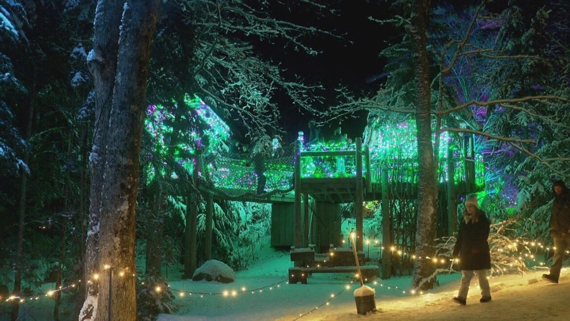 Gardens Aglow brightens Maine’s winter nights with dazzling displays station icon