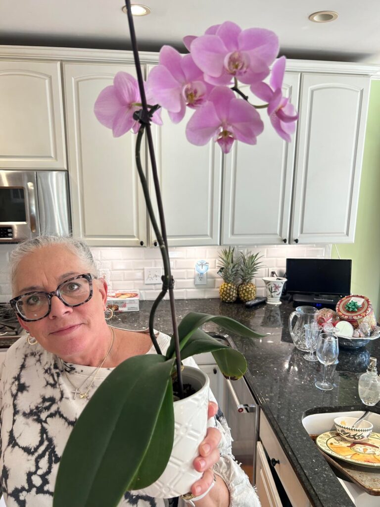 Orchid happy except for strange spot?