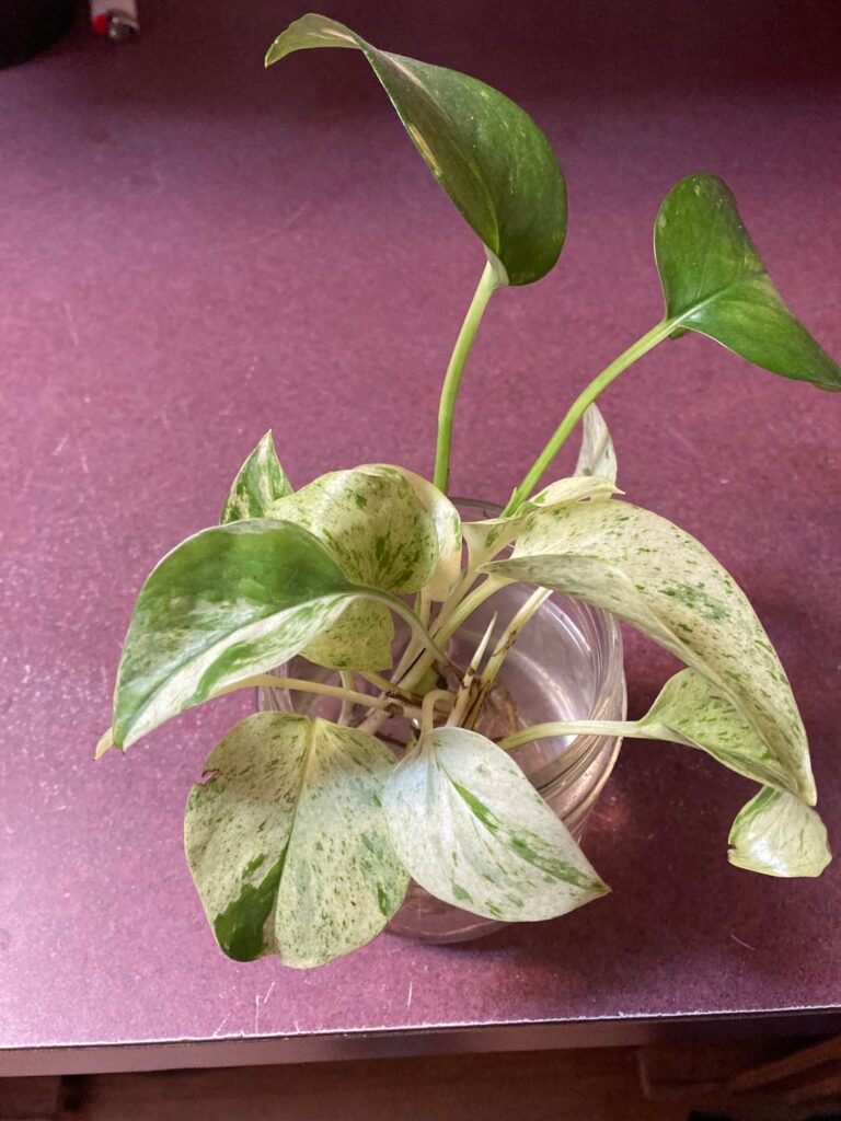 What a difference a year makes!!!